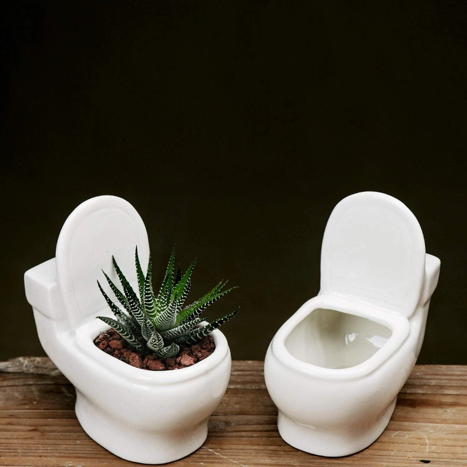 "FloraFlush" Toilet-shaped Planter 3 "FloraFlush" Toilet-shaped Planter