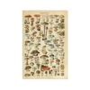 Aesthetic Mushroom Poster 2 Aesthetic Mushroom Poster -Decor Sales 1 43fe8f4e e0f7 42dd 8091 cc67456ebd11