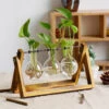 Aesthetic Terrarium Vase -Decor Sales 1 547267b8 61e1 4209 af45 bca5a72b6bc5