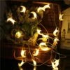 Moonlight String Lights -Decor Sales 1 d7589e4c 2ac3 4b89 9adf 911932bb7878