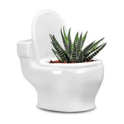 "FloraFlush" Toilet-shaped Planter 7 "FloraFlush" Toilet-shaped Planter -Decor Sales 20 5dd9db79 c3c5 43d3 8278 97ff6b790bca