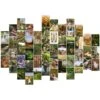 Cottagecore Collage Kit -Decor Sales 23