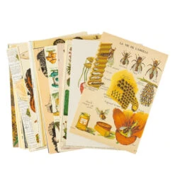 Botanic Garden Collage Kit -Decor Sales 26