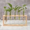 Test Tube Vase -Decor Sales 2 20e6c790 7664 4c64 a47c 17c3dc548fb3