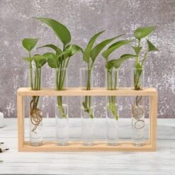 Test Tube Vase