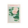 Water Lily Poster -Decor Sales 2 3fab71be a442 4394 ac82 e83a93373b40