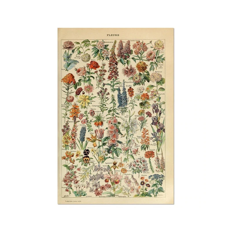 Wildflower Poster 3 Wildflower Poster