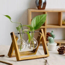 Aesthetic Terrarium Vase -Decor Sales 2 aa61416a 89a8 4d78 bdf5 424fe66a0746