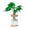 Clear Hydroponic Plant Pot -Decor Sales 33 3f08b3e7 699a 411a a99a ada1abc5df04