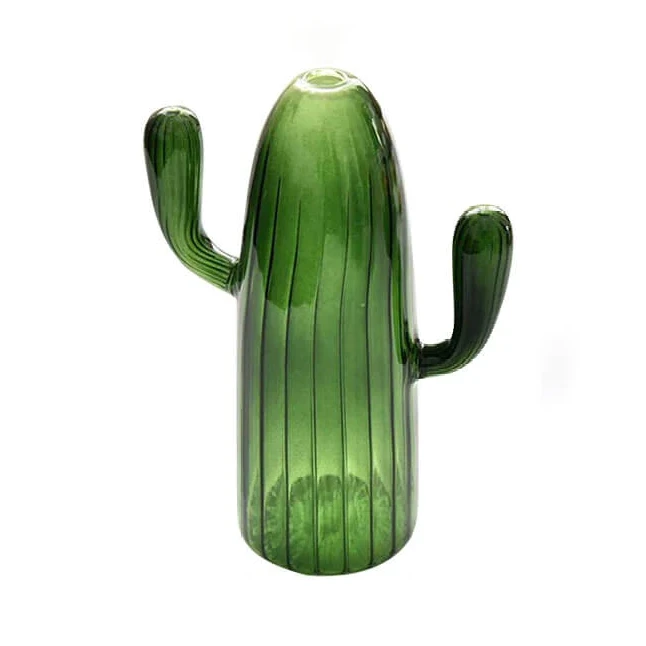 Cactus Transparent Vase 14 Cactus Transparent Vase - Image 12