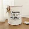 Laundry Today Basket -Decor Sales 35 82ecb0dd 03bc 48f0 8408 443ffb88901f