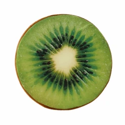 Fruity Cushion 11 Fruity Cushion -Decor Sales 35 a636c378 75ab 4ee0 a9bd 14e44b3a9ff5