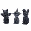Black Magic Cat 2 Black Magic Cat -Decor Sales 36 5dca20bc 5e63 4052 b747 157f0255bb58