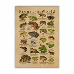 Vintage Frog Poster -Decor Sales 37 26cd3886 d509 4643 9268 744777a43403