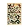 Aesthetic Butterflies Poster -Decor Sales 3 9e1641ea a985 4933 965c 068f1a227622
