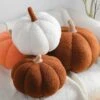 Aesthetic Pumpkin Pillow