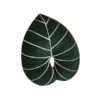 Monstera Plush Pillow -Decor Sales 40 8f17fc14 dbc4 4005 8808 1592e96f389f