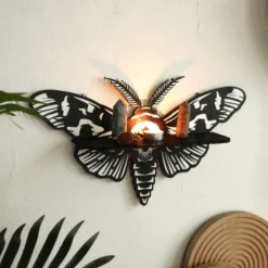 Death Moth Wall Shelf -Decor Sales 40 909b4cca 5fc6 4766 8b13 e9462e45e482