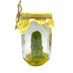 Grumpy Pickle In A Jar