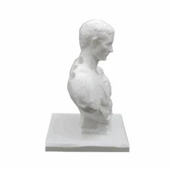 Julius Caesar Pen Holder -Decor Sales 47 ac028909 6a1f 486c 9da0 04e42e39c6a4