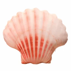 Sea Shell Plushy