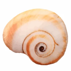 Sea Shell Plushy -Decor Sales 52 bd6475de 3e9f 4427 b47d 1b3df3536331