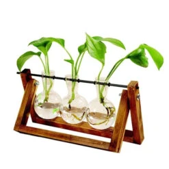 Aesthetic Terrarium Vase -Decor Sales 5 c3e2f972 08de 43a2 b586 9991f7f3bca0