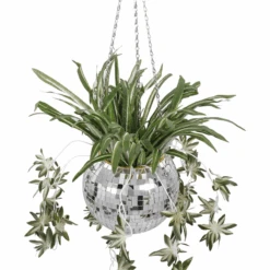 Disco Ball Plant Pot 12 Disco Ball Plant Pot -Decor Sales 67 1b8b7a03 927f 40cb a486 eba20663d1fe