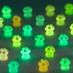 Luminous Mushrooms -Decor Sales 68 38a47b13 9d42 4183 b2e1 87ce9f9ac742