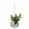 Disco Ball Plant Pot 2 Disco Ball Plant Pot -Decor Sales 68 5b4d5fad 4999 4472 ab13 eddd3074d8b9