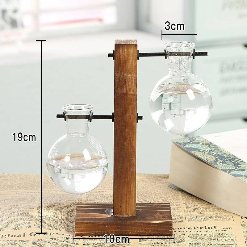 Hydro Plant Bulb Vase 5 Hydro Plant Bulb Vase - Image 3