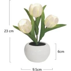 Cute Tulip Night Light 19 Cute Tulip Night Light -Decor Sales 87 cee48fb8 01ec 4a8e 8590 78b86ff507a7