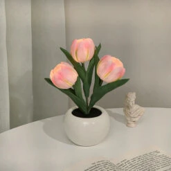 Cute Tulip Night Light 13 Cute Tulip Night Light -Decor Sales 90 97ffe30c d596 47f8 bff4 b17f845341c9