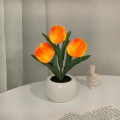 Cute Tulip Night Light 17 Cute Tulip Night Light -Decor Sales 95 0fb0389c 4883 475c a608 9b1244965284