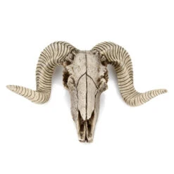 Animal Skull Wall Decor -Decor Sales CowSkullWallDecorB