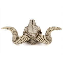 Animal Skull Wall Decor -Decor Sales CowSkullWallDecorB4