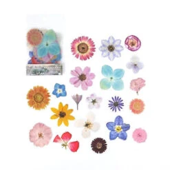 Pressed Botanic Garden Stickers -Decor Sales b1