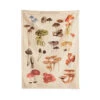 Poisonous Mushrooms Tapestry 2 Poisonous Mushrooms Tapestry -Decor Sales b1 8401e2d3 1bd2 4f93 9512 16060dba4c3e