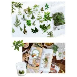 Pressed Botanic Garden Stickers -Decor Sales b4